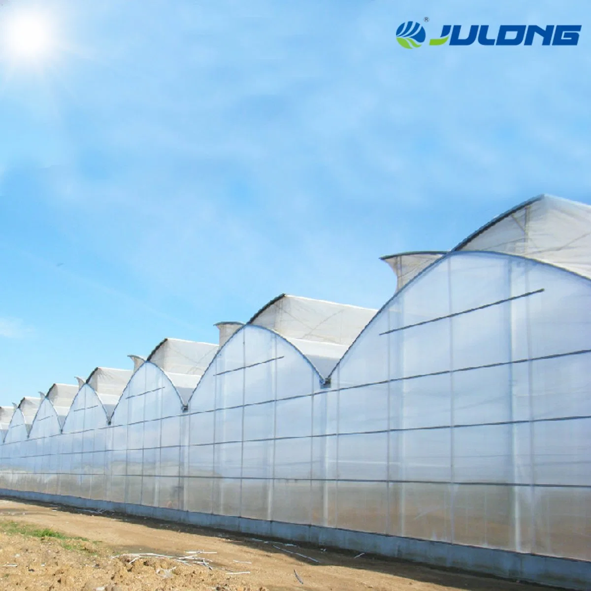 Good Quality Multi Span Film Greenhouses with Hydroponics Systems