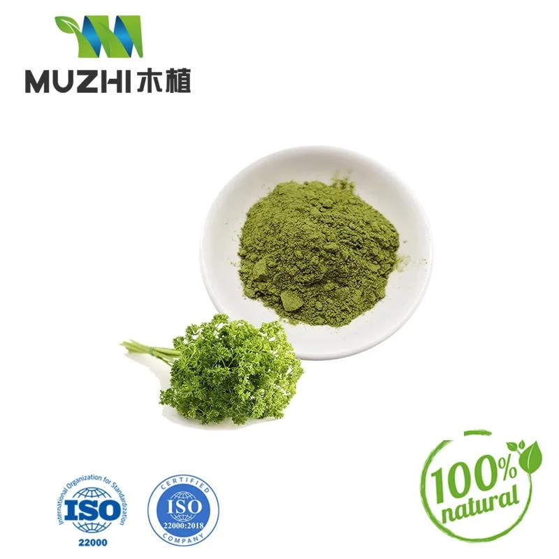 Fresh Vegetable Spinach Powder Bulk EU Organic Red Spinach Extract