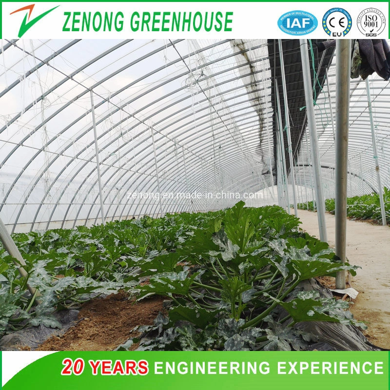 Low Cost Simple Hot DIP Galvanized Steel Plastic Film Arch Tunnel Greenhouse