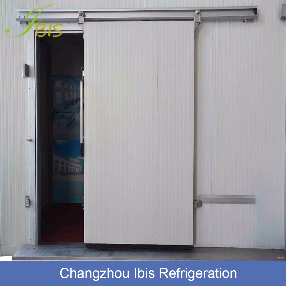 Cold Storage Swing Door Sliding Door