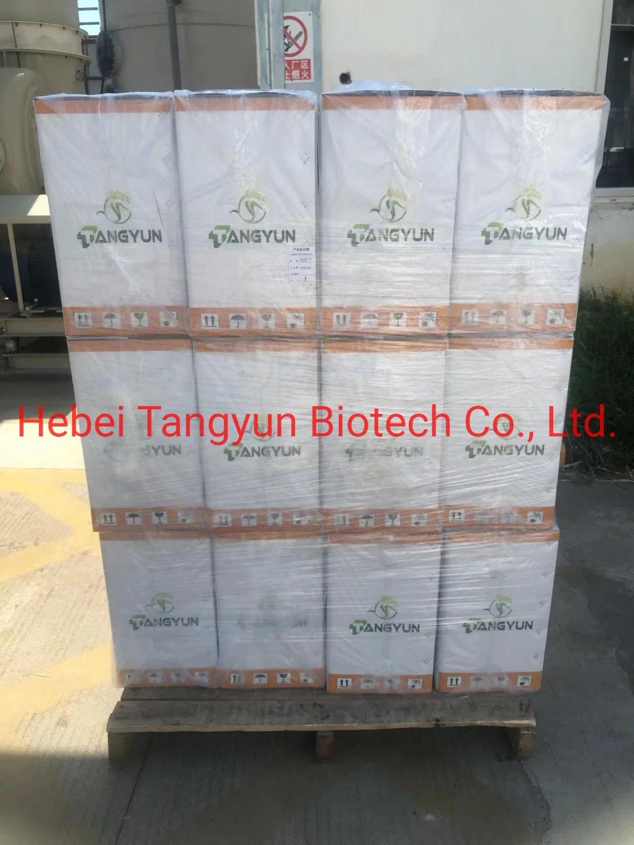 High quality/High cost performance  Weed Killer Herbicide Mefenacet 50%Wp Pesticide