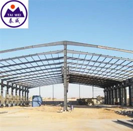 Prefabricated Large Steel Structure Metal Frame Industrial Commercial Building (TW604J)