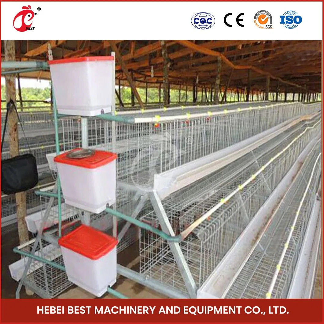 Bestchickencage الطبقة العادية Cage الصينية المحلية الدجاج الطبقة البيت مصنع تصنيع المعدات الأصلية (OEM) مخصص طويل الخدمة العمر بطاقة كبيرة طبقة الدجاج قفص