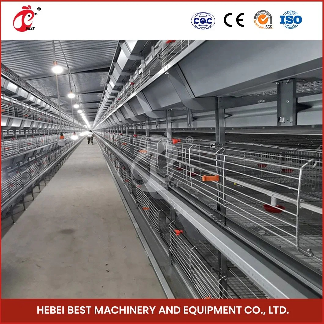 Bestchickencage China Chicken Laying House Factory H Rahmen automatische Boriler Käfige ODM Custom Acryl Material 8h voll automatisierte Batterie Schicht Hühnerkerhäuser