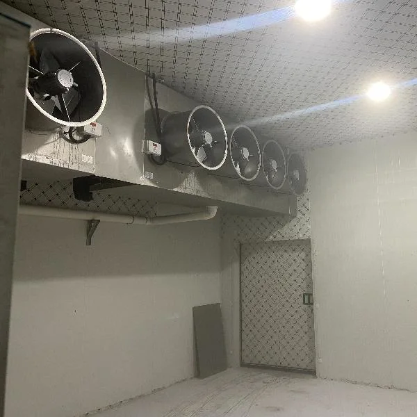 Pré-fabricados comerciais de armazenamento a frio congelado em Deep Blast refrigeração a baixas temperaturas Equipamentos para a Sala Fria de alimentos