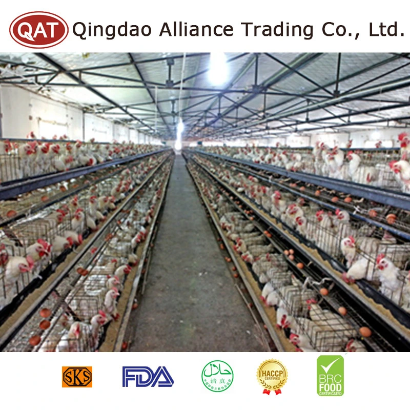 High quality/High cost performance  Frozen Halal Chicken Leg Meat