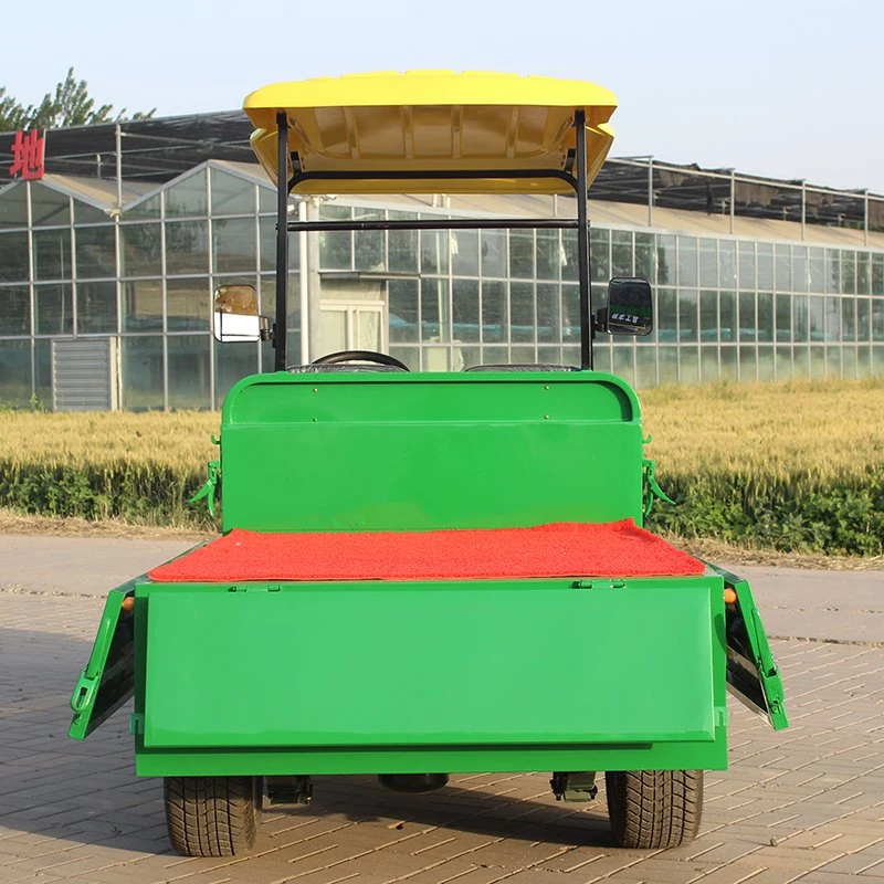 China Manufacturer Cheap Customized 2 Seat Electric Golf Car with Cargo Bucket