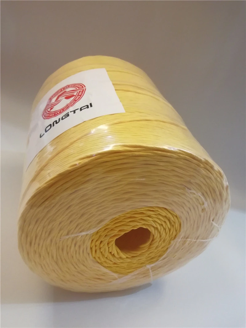 1-6mm High Strength PP Packing Rope/ Twine (SGS)