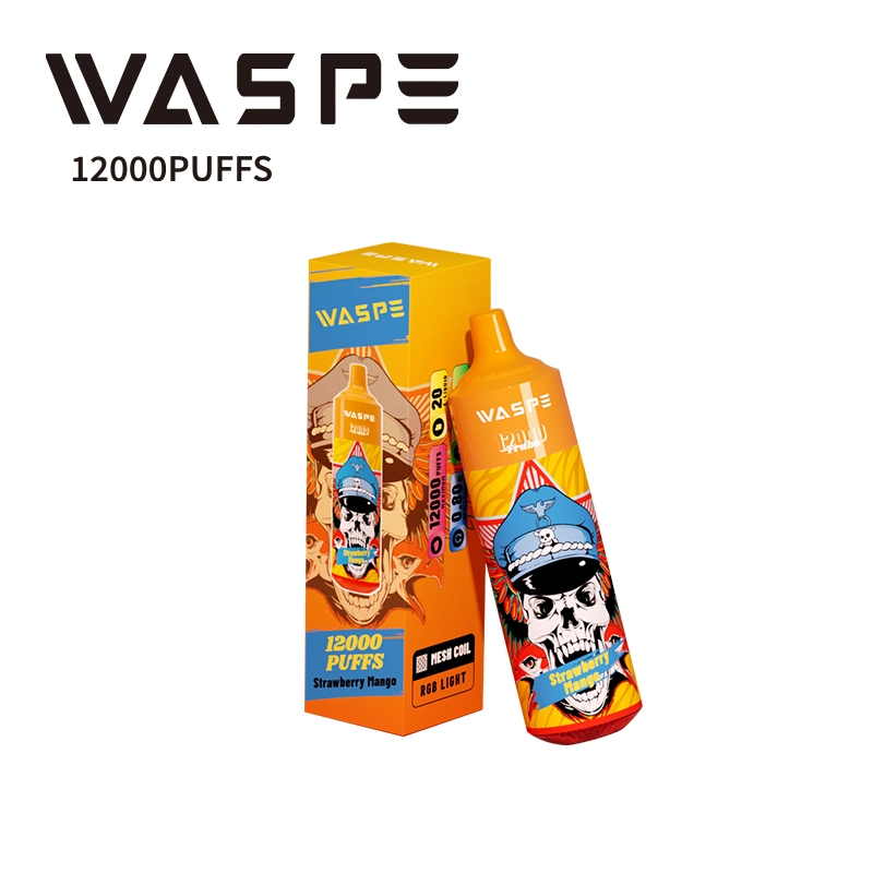 China Mayorista/Proveedor 0% nicotina VAPE Pod vape recargable 12000 Puffs Vaporizador desechable