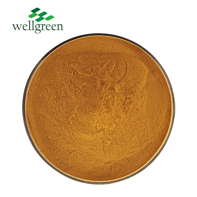 Chinese Natural Tanin Aescin Escin Powder Aesculus Hippocastanum Seed Horse Chestnut Extract