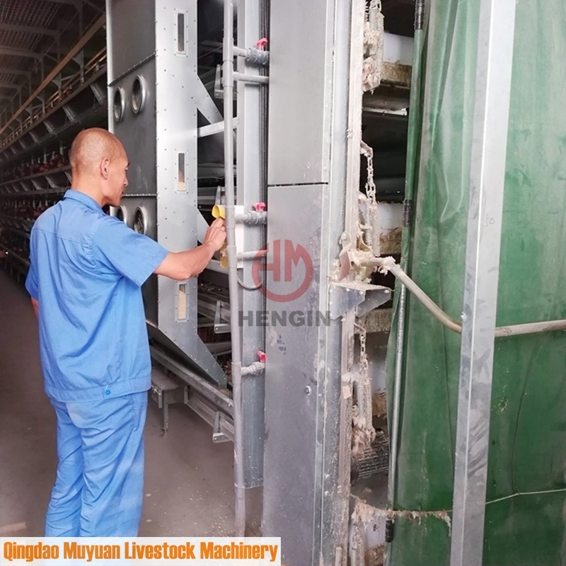 Système d'alimentation automatique Équipement de poulailler pour poules pondeuses au Bangladesh.