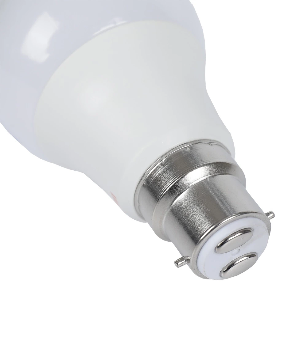 100 Watt Warm White Long Lasting Incandescent Bulb