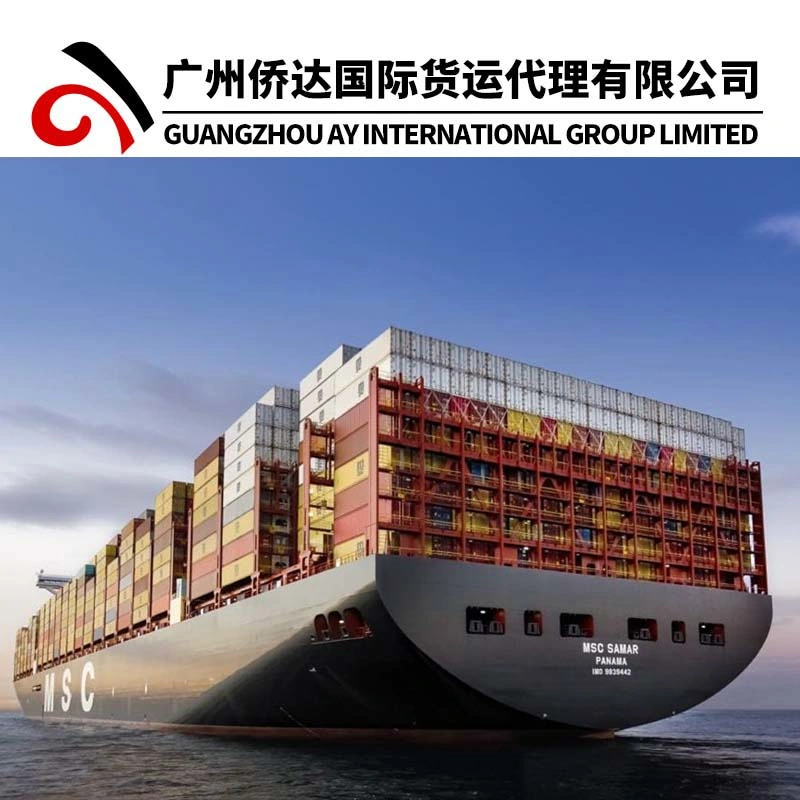 Une seule escale FCL/LCL Shipping Company avec des taux bon marché de Guangzhou Shenzhen Shanghai Ningbo Qingdao Chine à Lagos/Tema/Cotonou/Lome/Alger par mer