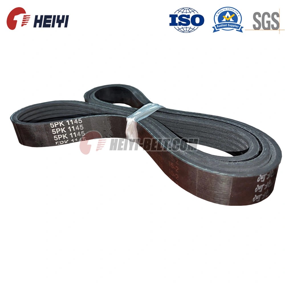 Transmation Belt Automobile Belt 6pk Drive Belt Pk Belt