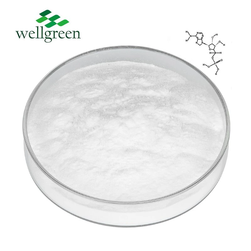 Food Grade Powder Supplement Bulk Nicotinate Vitamin B8 Hexanicotinate CAS 87-89-8 Halal Inositol