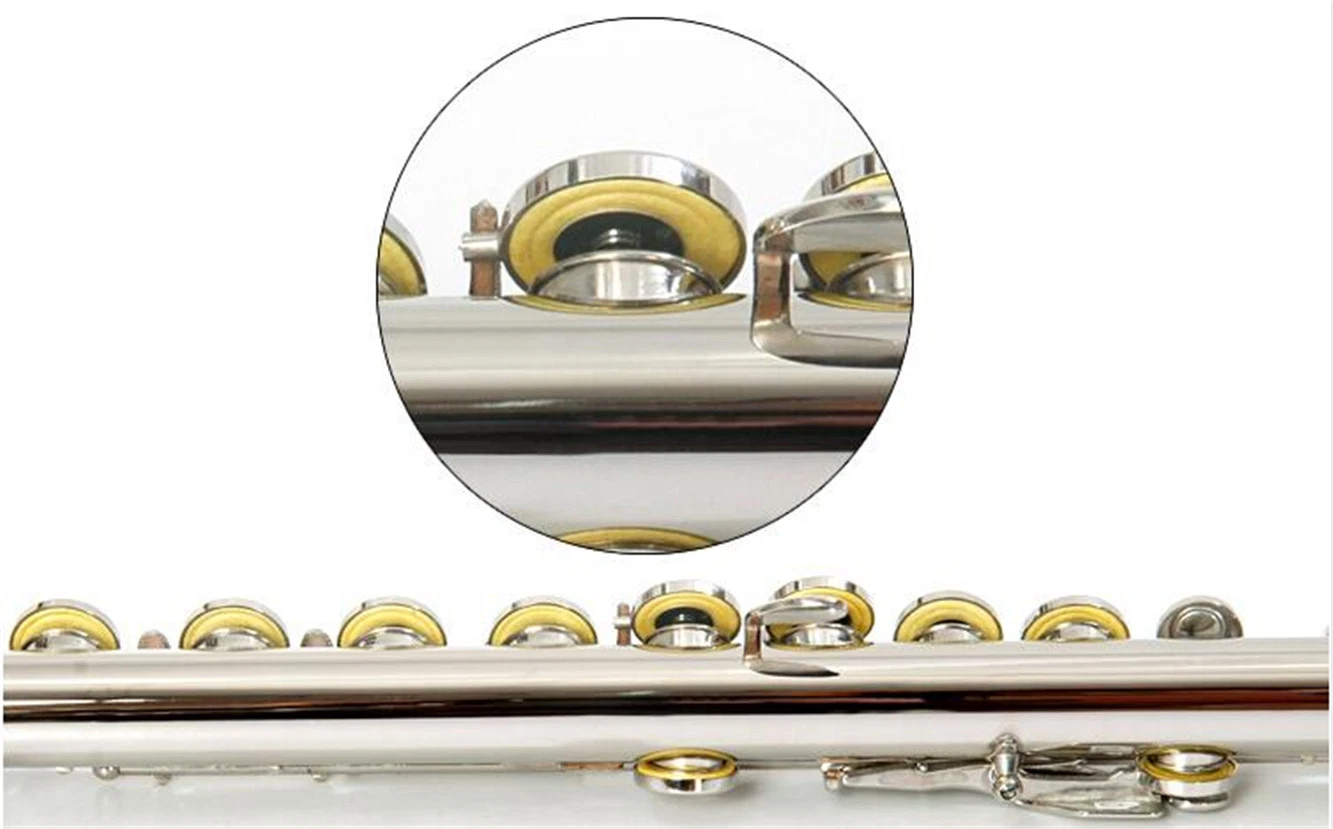 C Foot Beginner Flute, Offset G Key, Wholesale/Supplier Woodwind Instrument