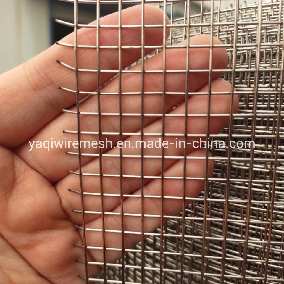 1/4 Galvanized Welded Wire Mesh GAW Mesh Hardware Cloth For Bird Cage For USA Market