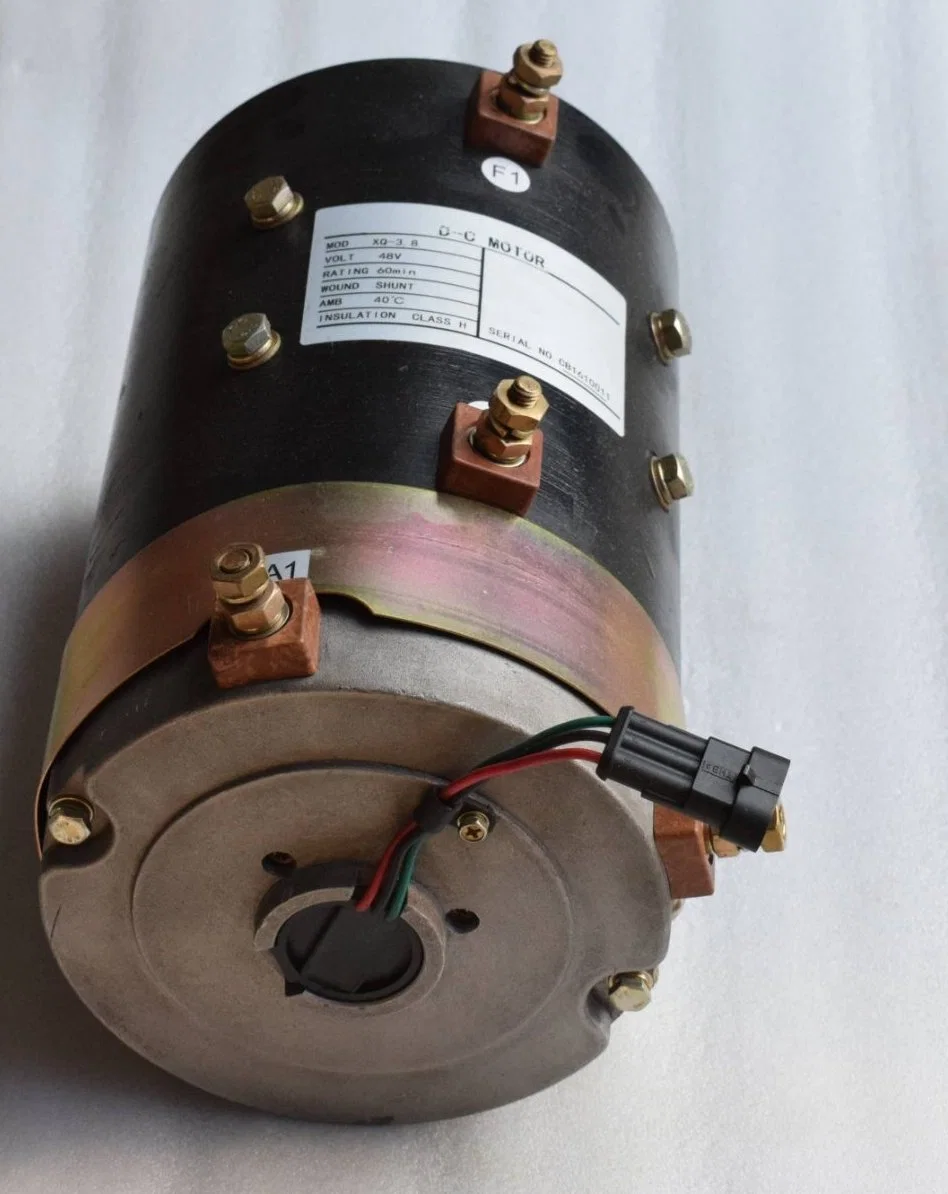 Xq-3.8 48V Seperated Excited DC Motor for Eagle Sightseeing Vehicle Use