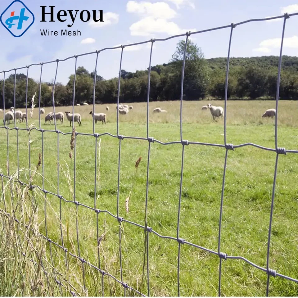 Chain Link Security Fence Protect Business and Property with Field Fence Using Strong Sheep Wire Cattle Fence and Reliable Wire Mesh Fencing Solution