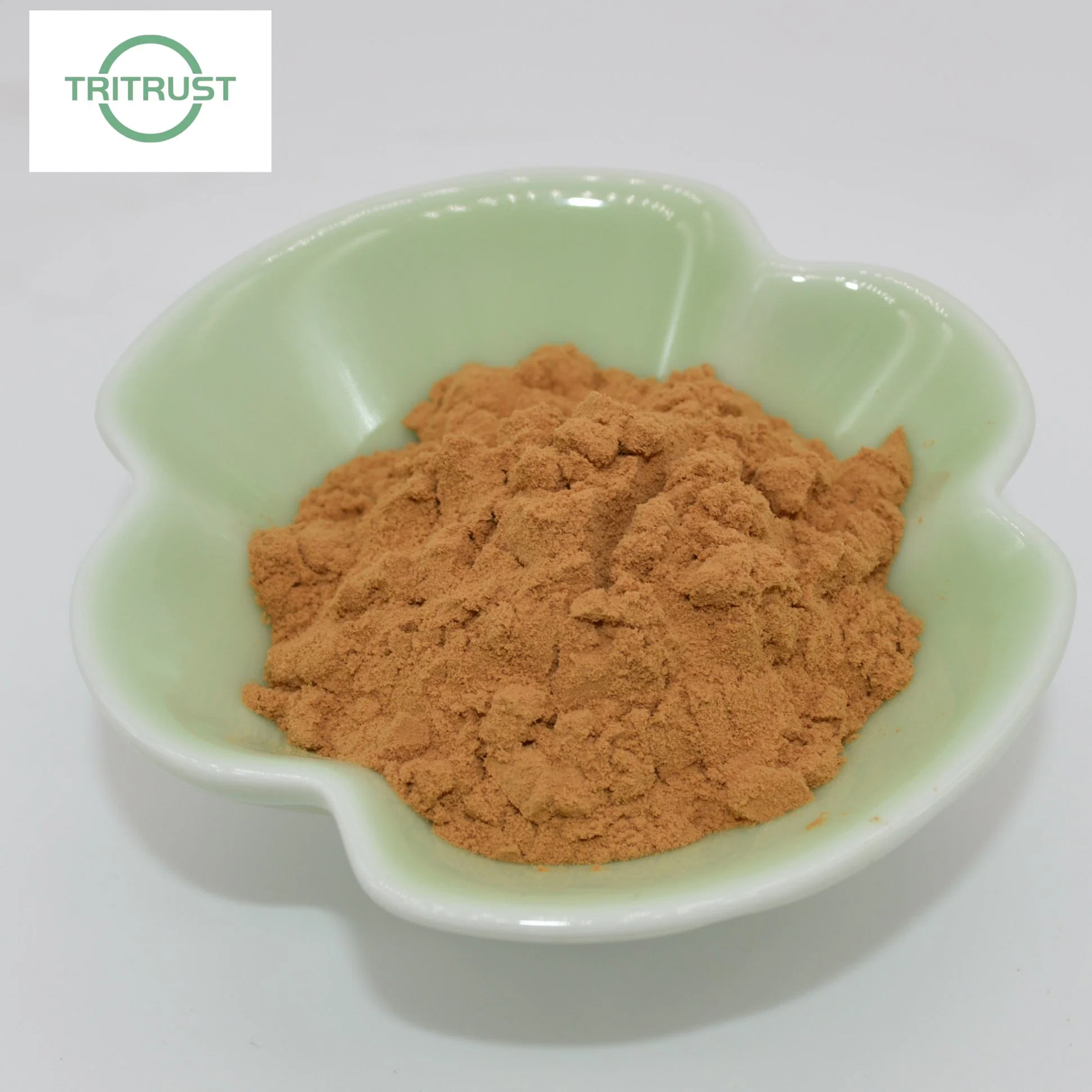 Dandelion Root Extract 5% Taraxacum Officinale Dandelion Extract Powder CAS 68990-74-9