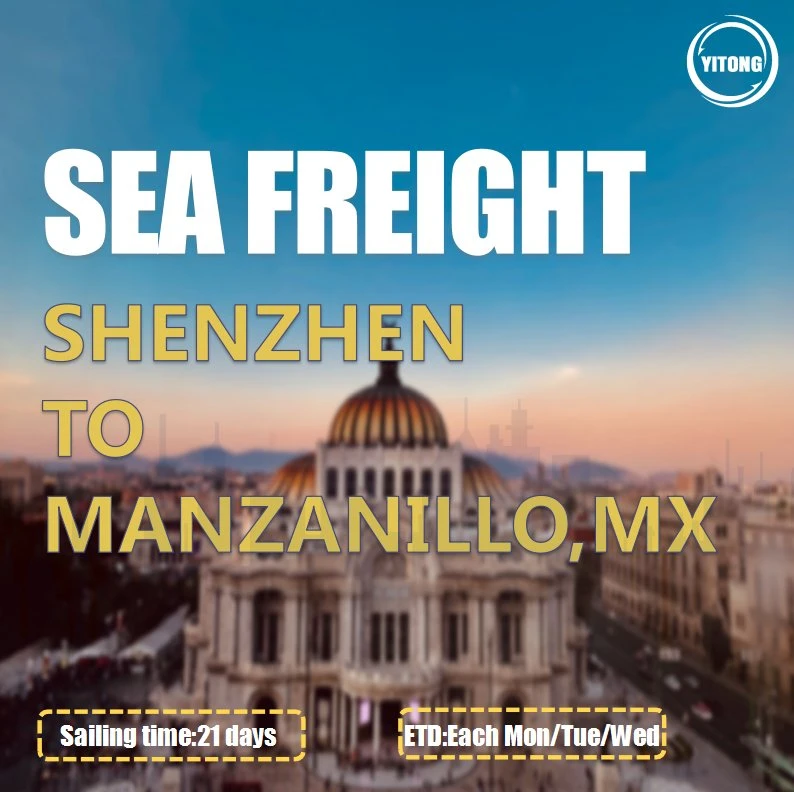 Sea Freight Logistics From Qingdao to Manzanillo