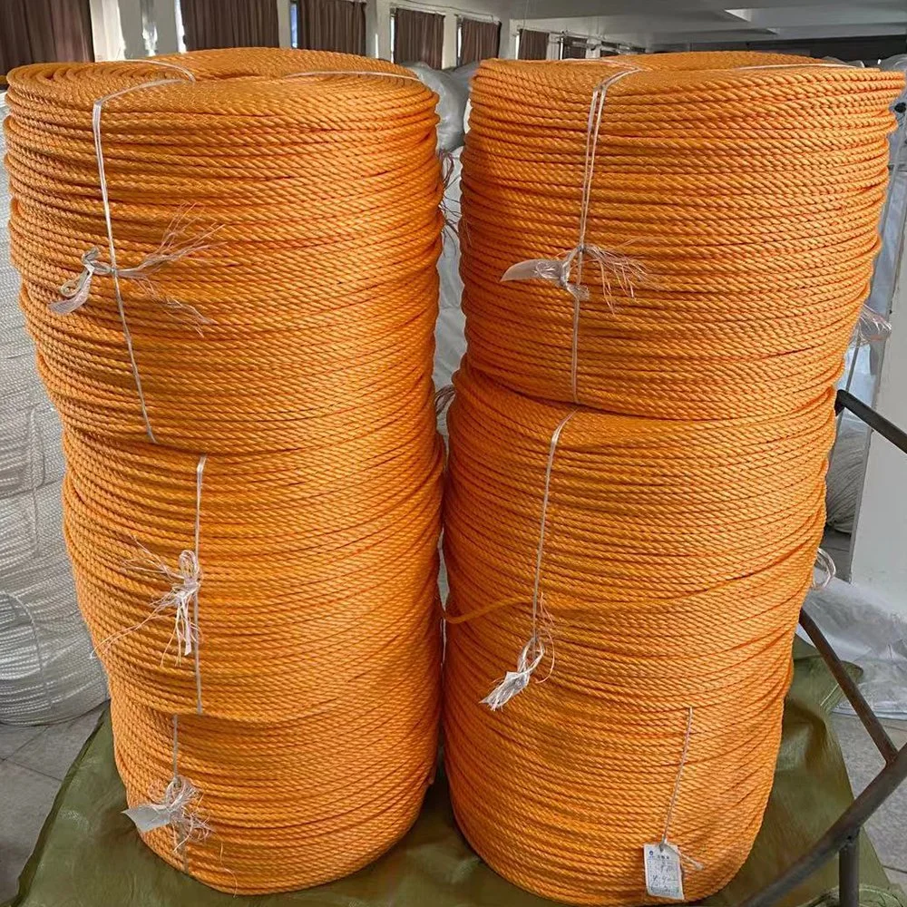 High Strength Any Color Customized Twisted 3/4 Strands Plastic Polypropylene/Polyethylene Danline Rope for Fishing /Mooring/Packing/Marine/Climbing/Agriculture