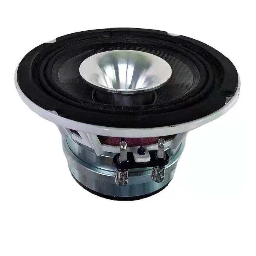 Haut-parleur coaxial 6"aimant en néodyme Voiture de course le président