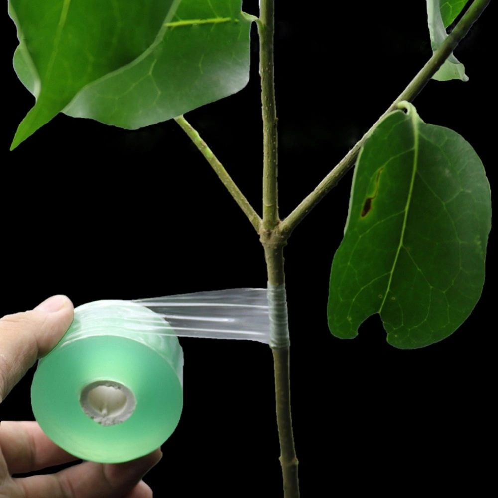20/30/60/100mm Garden Tree Plant Seedlings Grafting Tool Adsorption Film Membrane Grafting Tape