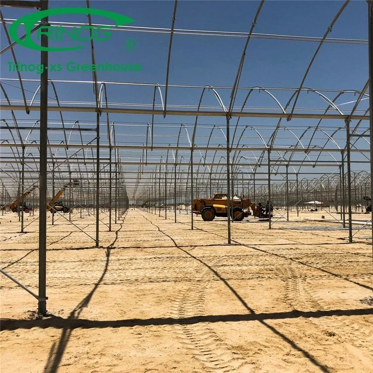 Commercial Large Plastic Film Green House with Shading System for Cultivation