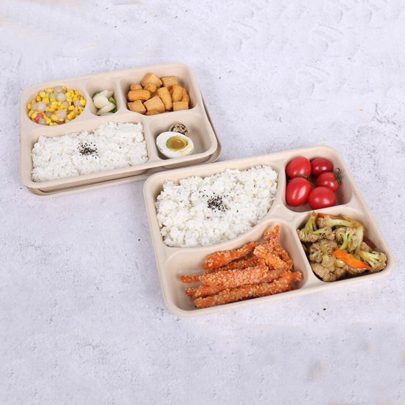 Disposable Biodegradable 3 4 5 Compartment Takeout Bento Meal Lunch Food Container Packaging Sugarcane Bagasse Box with Lid