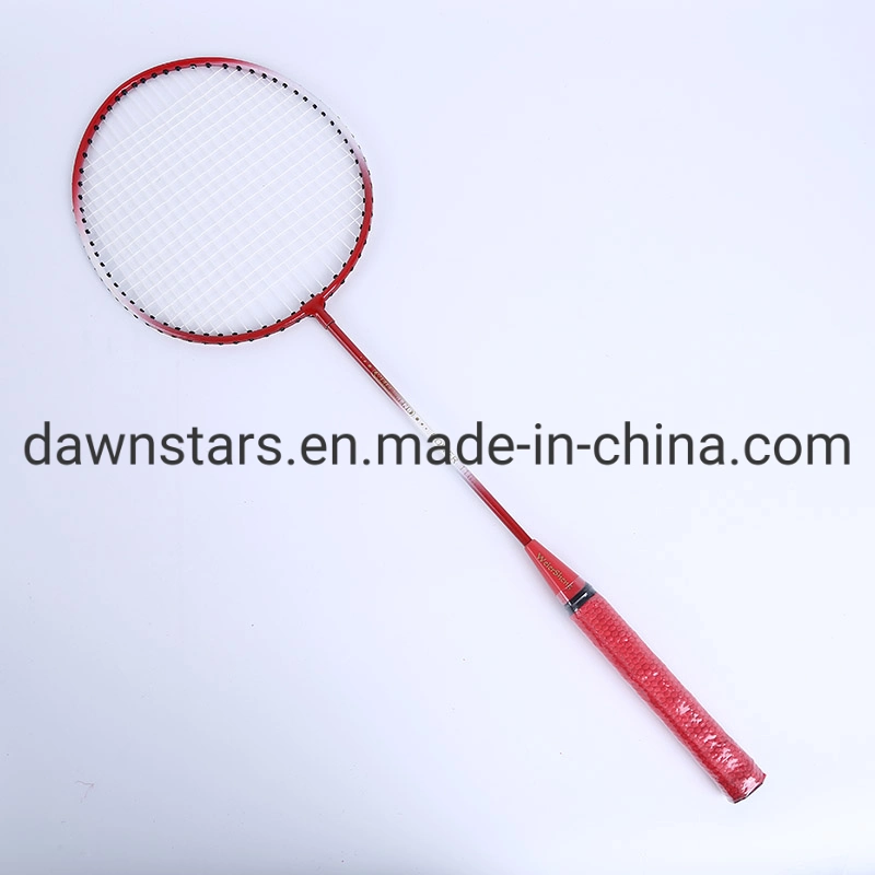 Best Selling Cheapest Iron Badminton Racket Set with Cover