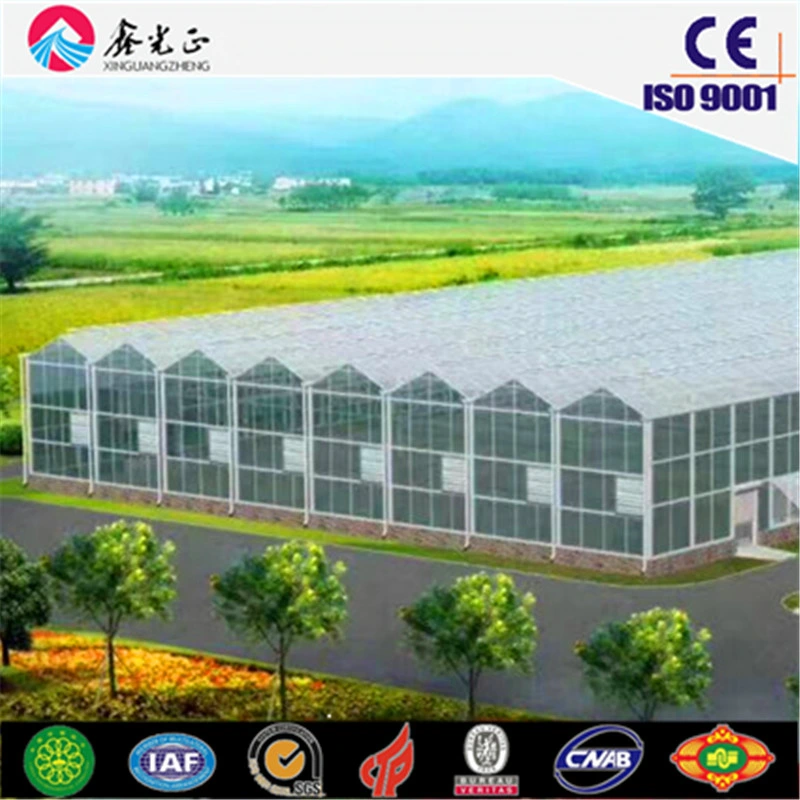 Light Steel Structure Green House for Fruits / Vegetables