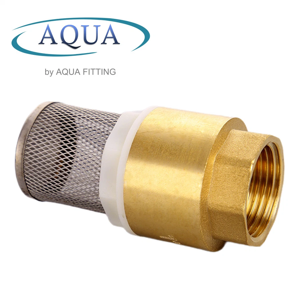 Factory Price 3/4 Brass with Mesh Check Valve Stainless Steel Web Filter Mesh