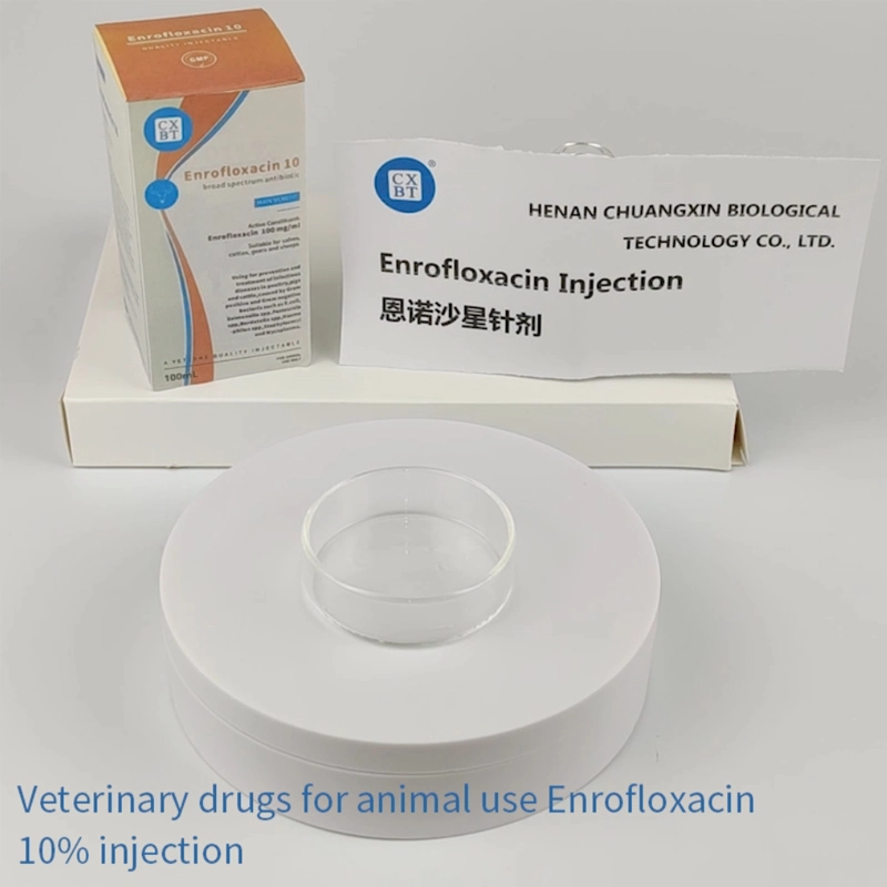 Veterinary Injection Hot Selling Supply Enrofloxacin Injection 100ml 10g for Livestock and Poultry