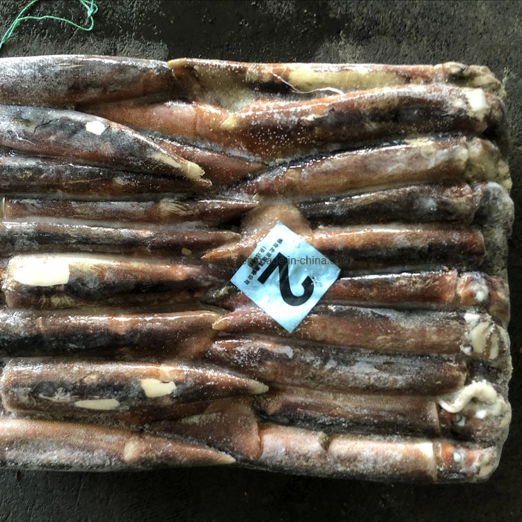 150-200 Wholesale/Supplier Frozen Argentine Illex Squid