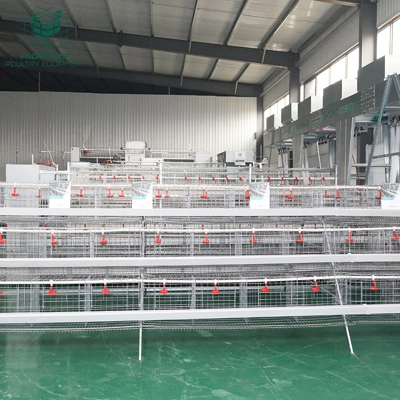 Poultry Farm Dimension for 1000 Chicken Layer Cage Guangzhou