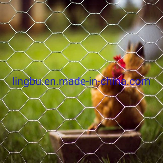 Rede de arame de galinha galvanizado revestido a PVC rede de arame de galinha 3/4 Malha de arame polegadas para coop de galinha