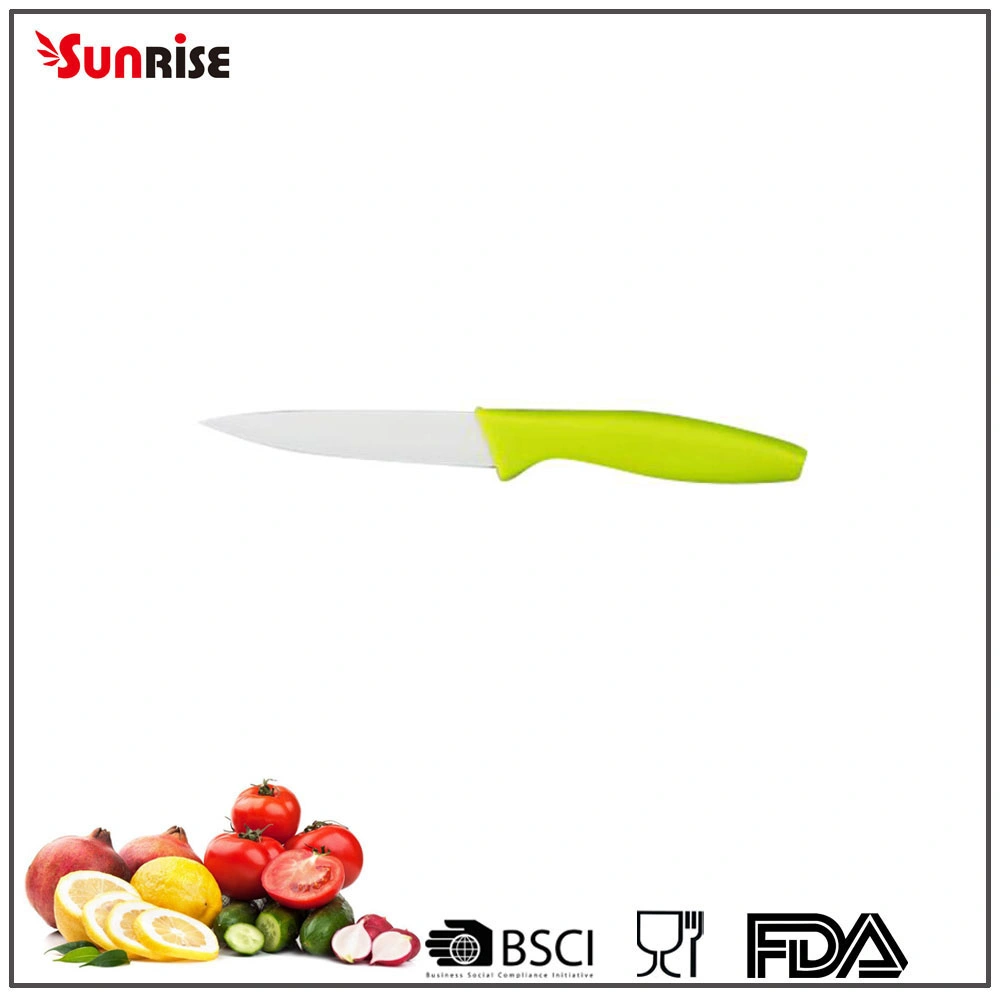 Kitchen Knife 4 Inch Ceramic Paring Knife with Plastic Handle (KCK117)