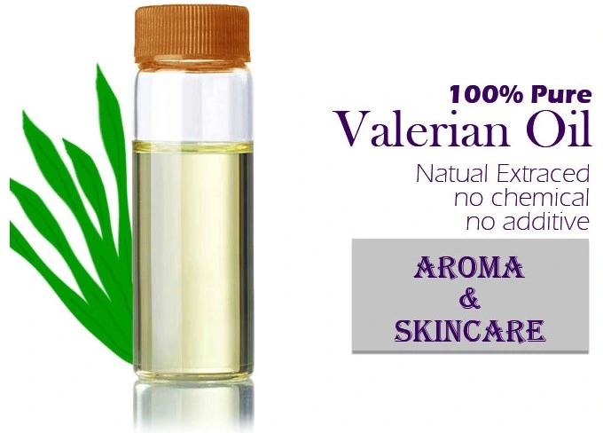 Aceite de valeriana Valeriana Extracto de raíz