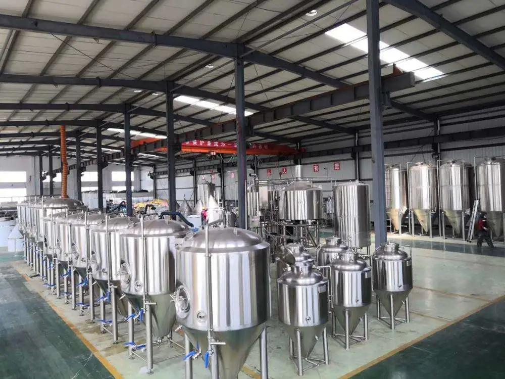 Beer Fermenter Tanks Beer Making Machine for Euro Market