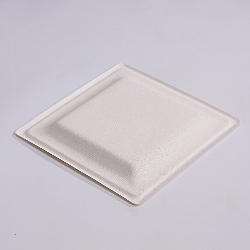 Paper Plates Grease Proof Bagasse Biodegradable Disposable Party