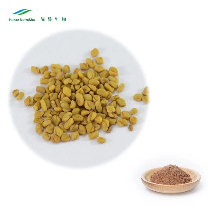 50% Fenugreek Saponinas Saponina Pó Fenugreek extrato de sementes em pó