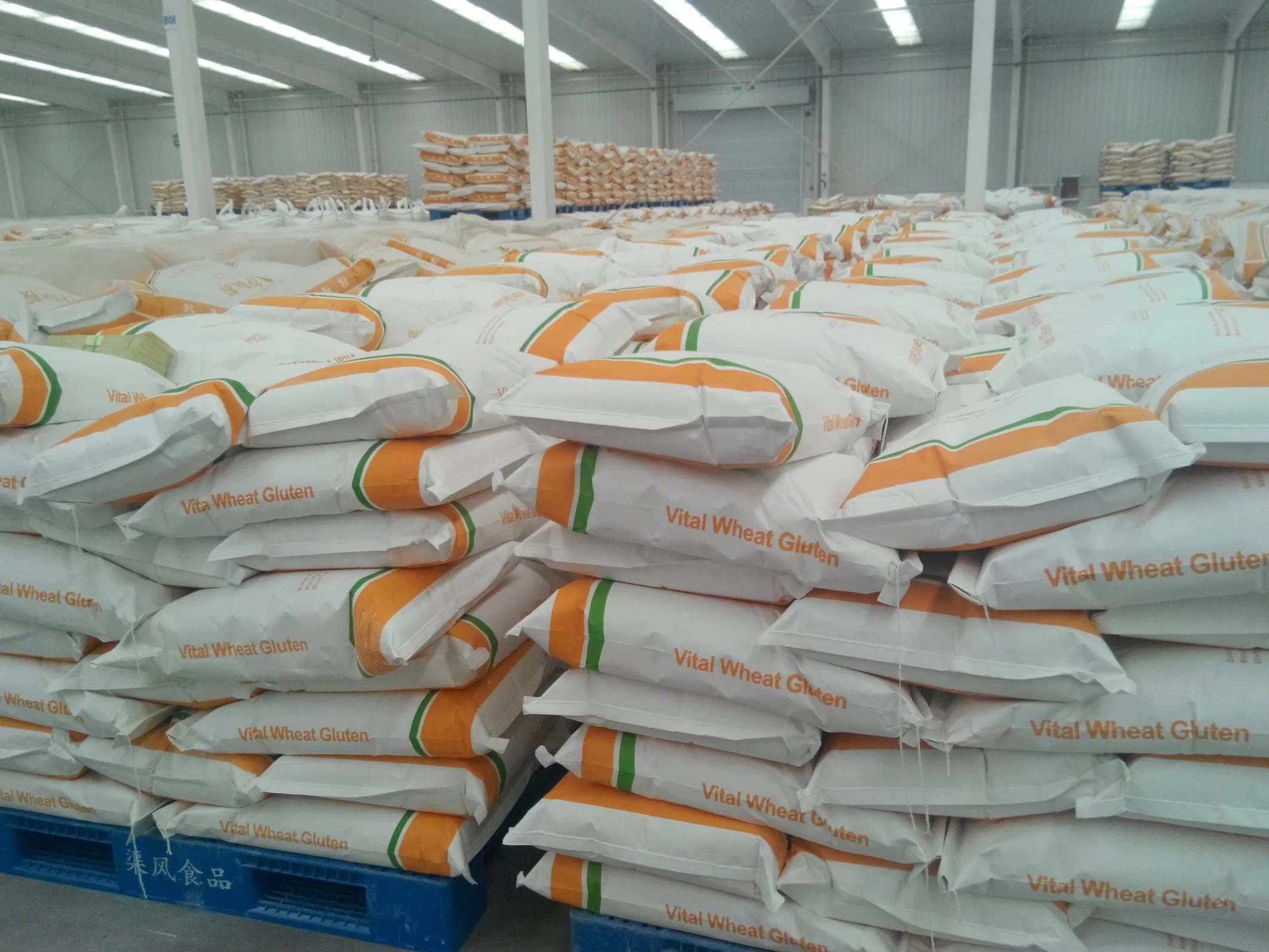 Tianjia in Stock Hot Sale Factory Supply Feed Grade Proteins Vital Wheat Gluten China 8002-80-0