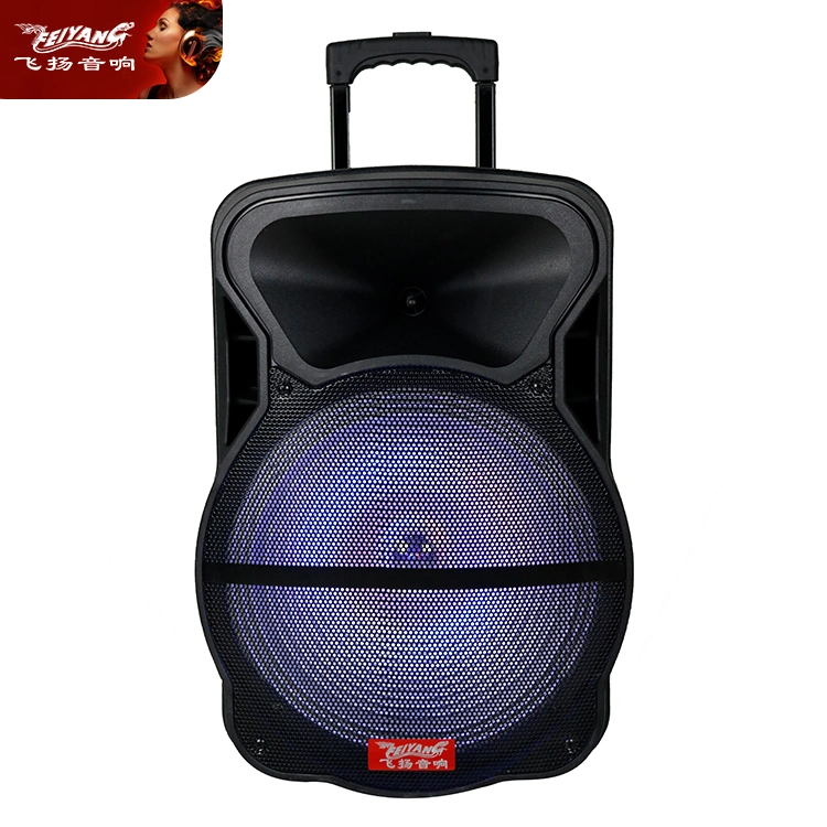 Professional Public Address Stereo Live Powerful Karaoke 18 Inch Trolley Active Audio Loudspeaker