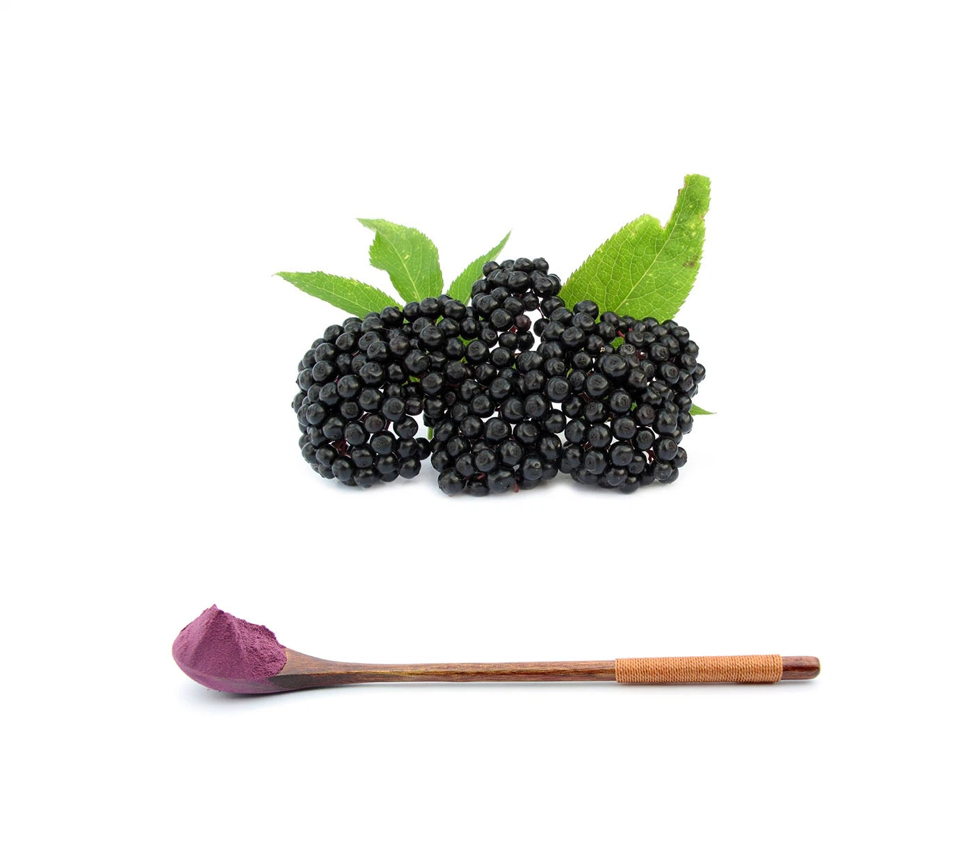 Extracto de Elderberry Natural Extracto de Elderberry Orgánico Extracto de Herbal ingrediente alimenticio