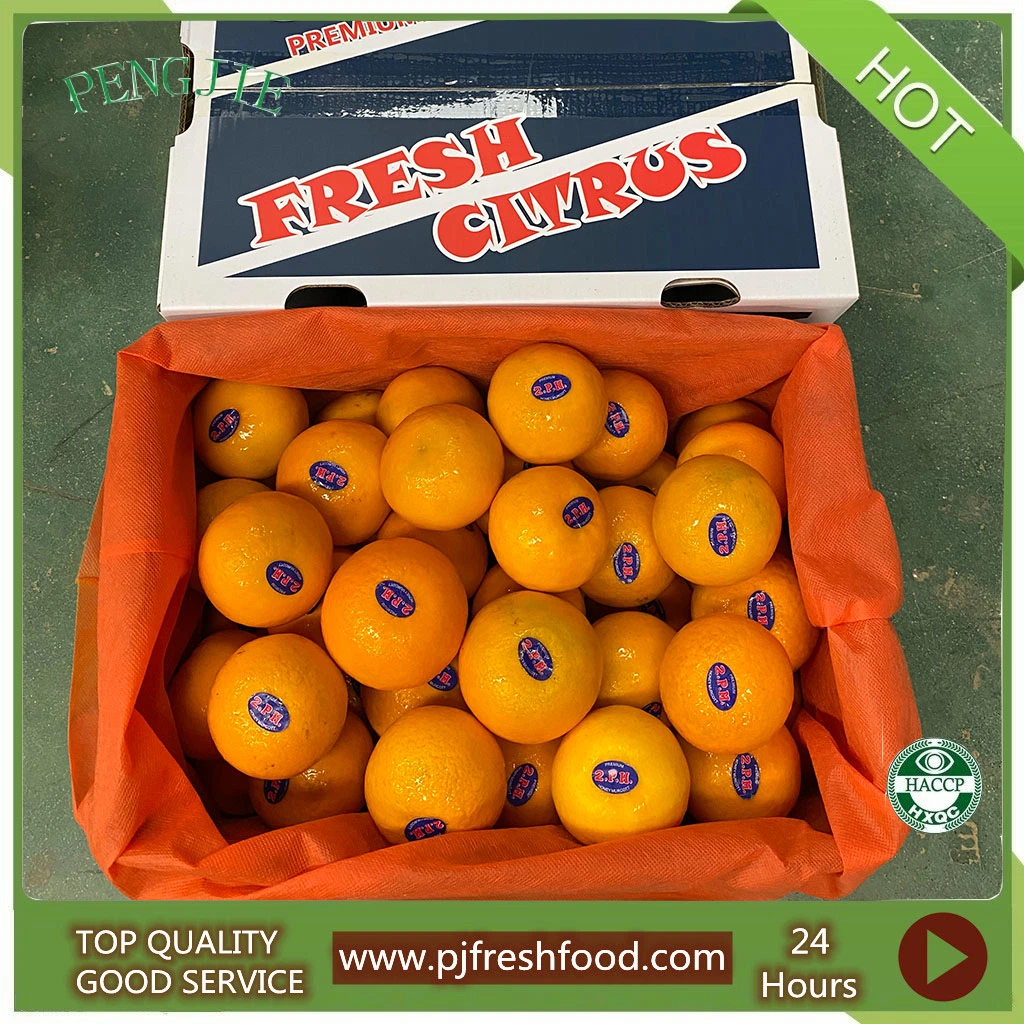 Fresh Sweet Murcott Mandarin pour l'exportation