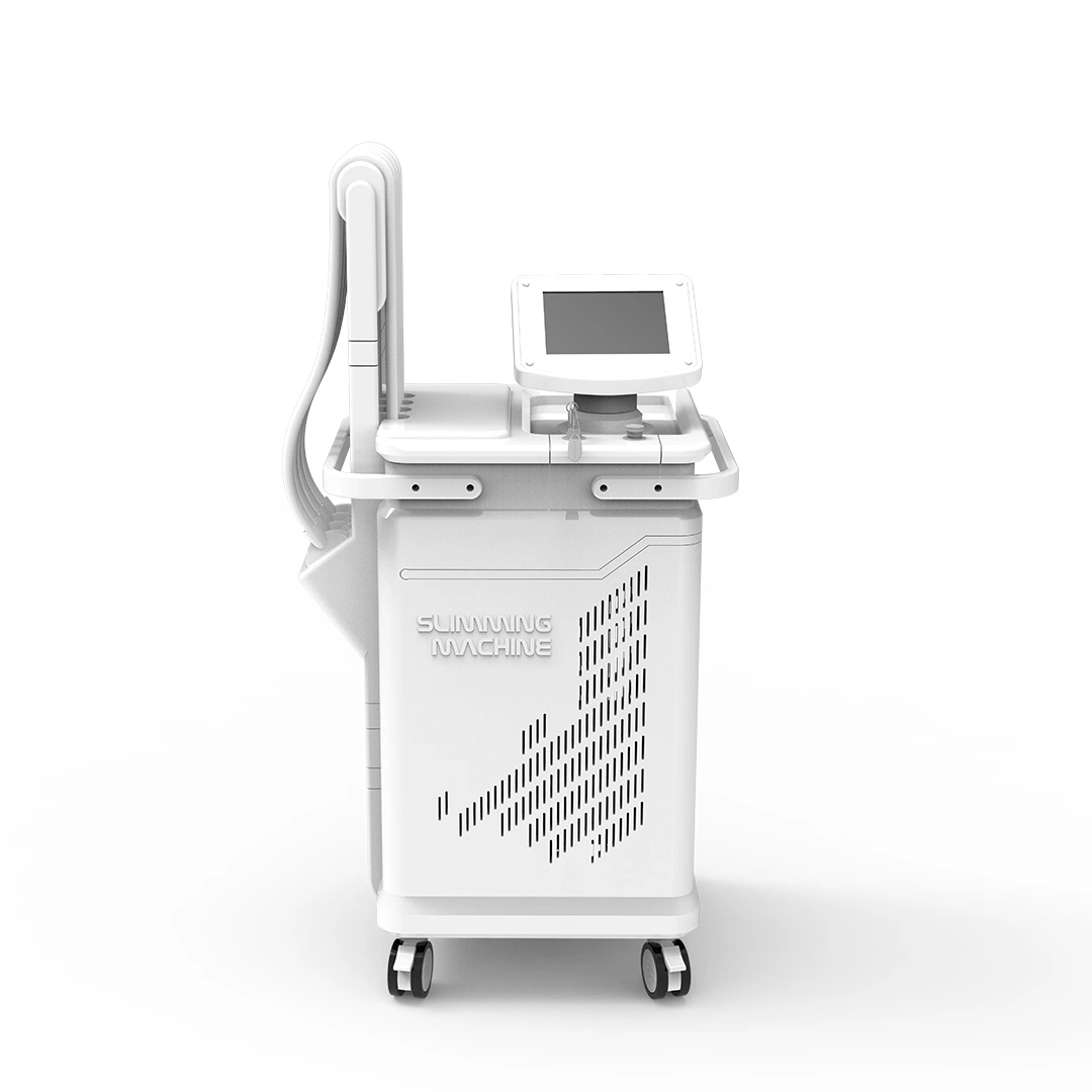 Professionelle Körper Abnehmen 1060nm Diode Laser Gewichtsverlust Beauty-Ausrüstung