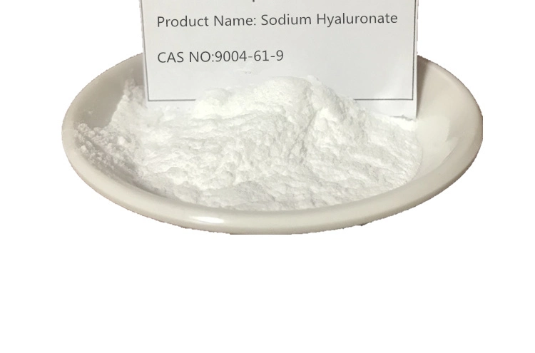 L'acide hyaluronique en poudre d'alimentation Herben hyaluronate de sodium en poudre