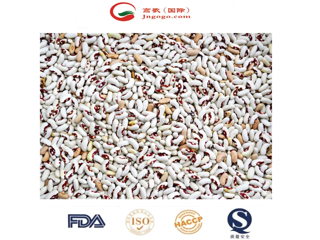 Chinese New Crop Light Speckled Kidney Bean