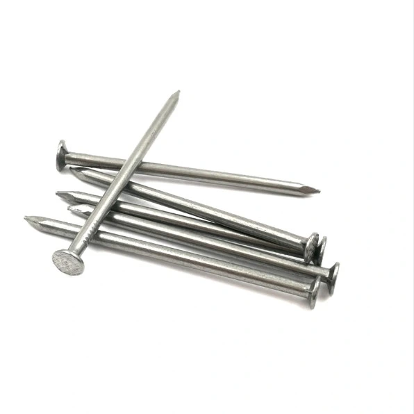 Common Wire Nails /Iron Nails /Pointe Factory Cheap Price